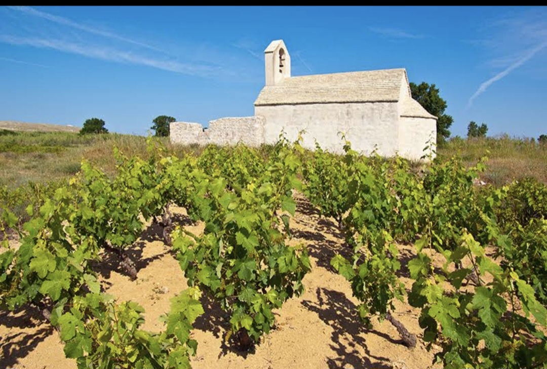 Screenshot 20250704 080025 Chrome